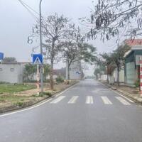 Đấu giá tổ 3 thị trấn chi đông- Giá rẻ, hạ tầng đẹp- 0989726892