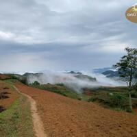 GIÁ LONG LANH… BÁN NHANH 76.000m2 đất homestay Noong Luông, Mai Châu, Hòa Bình