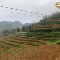 GIÁ LONG LANH… BÁN NHANH 76.000m2 đất homestay Noong Luông, Mai Châu, Hòa Bình