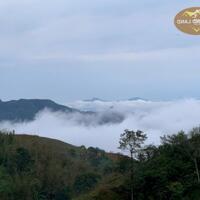 GIÁ LONG LANH… BÁN NHANH 76.000m2 đất homestay Noong Luông, Mai Châu, Hòa Bình
