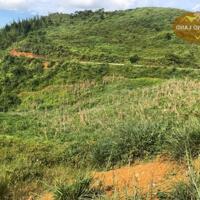 GIÁ LONG LANH… BÁN NHANH 76.000m2 đất homestay Noong Luông, Mai Châu, Hòa Bình