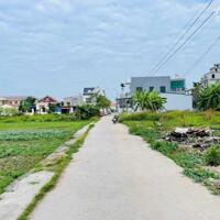 Bán đất Thanb Sơn - Kiến Thụy - Hải Phòng