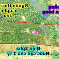 rẫy 2ha bằng như sân bóng, nguồn thu mạnh, 93m mặt đường thành phố