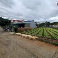 Đất 2 mặt tiền đường Nguyễn Trường Tộ, Liên Nghĩa, Đức Trọng, Lâm Đồng