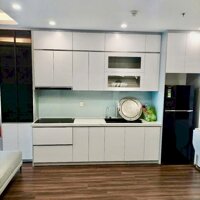Cho thuê căn hộ 1.5 ngủ tại chung cư Hoàng Huy Commerce, giá 9tr
