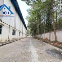 Cho thuê xưởng 2800m2 KCN Tam Phước, TP Biên Hòa, Đồng Nai giá 210tr
