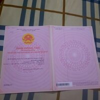 Chính chủ bán nhà mặt tiền đường Lê Thị Hà, xã Tân Xuân, huyện Hóc Môn Dòng tiền 125tr/tháng.
