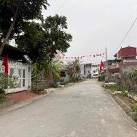 Cực rẻ 128m2 đất khu phân lô Lương Quán, Nam Sơn, chỉ 2,55 tỷ