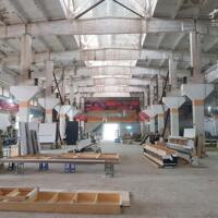 CHO THUÊ KHO XƯỞNG 300-800M² TẠI THỤY PHƯƠNG, BẮC TỪ LIÊM – SẴN SÀNG VẬN HÀNH!