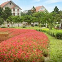 Bán gấp Dự Án Thephoenix Graden Đan Phượng Lô Biệt Thự 200m2 không lỗi giá tốt nhất dự án.