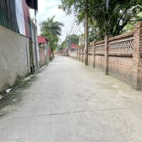 Cần bán 70m2 đất thôn Kiêu Kỵ, Gia Lâm. Đường thông ô tô 16 chỗ, khu vực đông dân, tiện ích nhiều