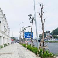 Chính chủ bán gấp Louis City III Đại Mỗ, 5 tầng xây thô, 120m, 2 thoáng trước sau, vỉa hè rộng, giá 50 tỷ (có tl).