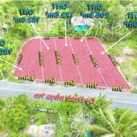 mặt tiền nhựa Lộ Đình 9m  Thuộc xã Bình trinh Đông , huyện Tân trụ , long an