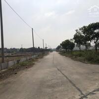 CÓ 2 LÔ 81M2 NHÌN RA VƯỜN HOA KHU ĐẤU GIÁ ĐÌNH TỔ, ĐẤT PHÂN LÔ VỈA HÈ, VỊ TRÍ ĐẸP NHẤT KHU