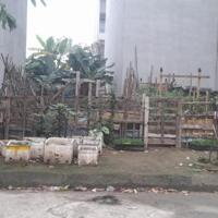 ĐẤT ĐẤU GIÁ BIÊN GIANG ĐƯỜNG ÔTÔ TRÁNH 3.5TỶ