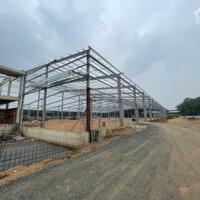 Cho Thuê 11.000m2 Nhà Xưởng Mới Ngoài KCN Bàu Bàng Bến Cát Bình Dương