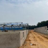 Cho Thuê 11.000m2 Nhà Xưởng Mới Ngoài KCN Bàu Bàng Bình Dương
