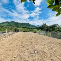 bán đất 558m xã Khánh Phú, Khánh Vĩnh làm nhà vườn đường nhựa Hương Lộ 62 LH 0788.558.552