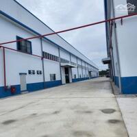 Cần cho thuê 5200m2 nhà xưởng tiêu chuẩn, đầy đủ thành lập FDI, EPE. trong KCN Yên Phong 1