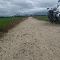 Bán Đất Lúa Diên Sơn - bám đường bê tông 8 mét- Giá 130tr - bao sổ sách