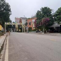 Bán đất đường Đầm Vạc, Đống Đa, Vĩnh Yên.  - Diện tích 190m2 , GIÁ: 55tr/m2.