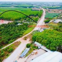 Đất rẻ tại Bàu Bàng gần KCN