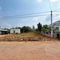 BÁN 1.000M2 CÓ SỔ RIÊNG, SÁT CHỢ VÀ NHÀ MÁY