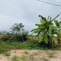 Bán đất mặt đường kinh doanh Thanh Vân, Tam Dương, Vĩnh Phúc