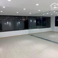 Top nhà vị trị đẹp 5.2 x 10m 1 trệt 4 lầu Trương Định Quận 3 TP.HCM