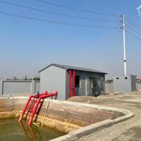 Cho Thuê Nhà Xưởng mặt đường tỉnh 379 - Văn Giang - Hưng Yên