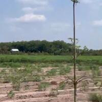 Lô đất đẹp 280m² ngay Bàu Bàng, đất đẹp Trừ Văn Thố, đương Hồ Chí Minh – Cần bán gấp!