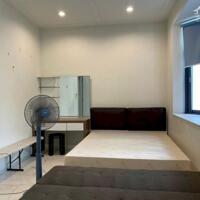 Cho thuê biệt thự Mỹ Giang - Phú Mỹ Hưng nhà đẹp giá chỉ 45tr/tháng