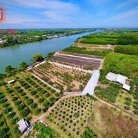 Bán nhà vườn nghỉ dưỡng ven sông Đồng Nai xã Bình Lợi, sổ hồng 1607m2 quy hoạch đất ở giá 7.5 tỷ