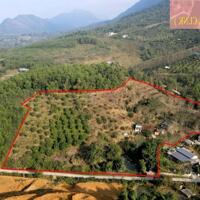  CƠ HỘI VÀNG! BÁN ĐẤT ĐẸP ĐÀ BẮC – 13.590M², SÁT CAO TỐC, GẦN TRUNG TÂM – ĐẦU TƯ SINH LỜI CỰC CAO, PHÁP LÝ RÕ RÀNG, SẴN SÀNG GIAO DỊCH – KHÔNG MUA HÔM NAY SẼ HỐI TIẾC!