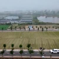 Chính chủ cần bán lô đất biển Quất Lâm, Nam Định, 90m2. Vị trí trung tâm, gần bãi tắm. Giá Rẻ