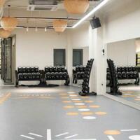 Bán Toà Nhà Mặt Tiền Đường Lê Đức Thọ, Phường 17, Quận Gò vấp, Hồ chí Minh