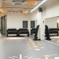 Bán Toà Nhà Mặt Tiền Đường Lê Đức Thọ, Phường 17, Quận Gò vấp, Hồ chí Minh