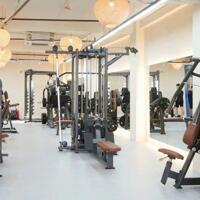 Bán Toà Nhà Mặt Tiền Đường Lê Đức Thọ, Phường 17, Quận Gò vấp, Hồ chí Minh