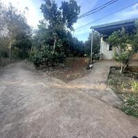 BÁN 1100m2 CÓ 100m2 ĐẤT NGAY KHU DÂN CƯ GIÁ TỔNG 1,4 TỶ LH 0833338828