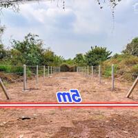 Bán Đất Mặt Tiền Xã Văn Cội Củ Chi, Diện Tích 121m2, Sổ Hồng Riêng