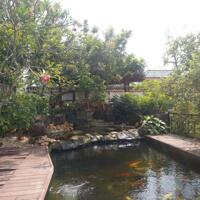 View xịn tọa lạc tại thôn 11_Hòa Phú_Buôn Ma Thuột _Đăk Lăk. Dt: 27,5×50 tc 400m²  $ 7 tỷ thương lượng chính chủ .  Thích hợp làm khu nghĩ dưỡng sau những giờ làm