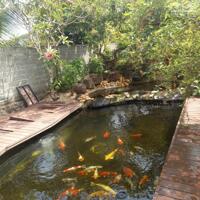 View xịn tọa lạc tại thôn 11_Hòa Phú_Buôn Ma Thuột _Đăk Lăk. Dt: 27,5×50 tc 400m²  $ 7 tỷ thương lượng chính chủ .  Thích hợp làm khu nghĩ dưỡng sau những giờ làm