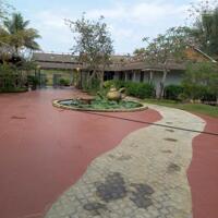 View xịn tọa lạc tại thôn 11_Hòa Phú_Buôn Ma Thuột _Đăk Lăk. Dt: 27,5×50 tc 400m²  $ 7 tỷ thương lượng chính chủ .  Thích hợp làm khu nghĩ dưỡng sau những giờ làm