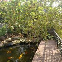 View xịn tọa lạc tại thôn 11_Hòa Phú_Buôn Ma Thuột _Đăk Lăk. Dt: 27,5×50 tc 400m²  $ 7 tỷ thương lượng chính chủ .  Thích hợp làm khu nghĩ dưỡng sau những giờ làm