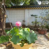 View xịn tọa lạc tại thôn 11_Hòa Phú_Buôn Ma Thuột _Đăk Lăk. Dt: 27,5×50 tc 400m²  $ 7 tỷ thương lượng chính chủ .  Thích hợp làm khu nghĩ dưỡng sau những giờ làm