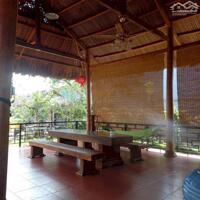 View xịn tọa lạc tại thôn 11_Hòa Phú_Buôn Ma Thuột _Đăk Lăk. Dt: 27,5×50 tc 400m²  $ 7 tỷ thương lượng chính chủ .  Thích hợp làm khu nghĩ dưỡng sau những giờ làm
