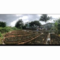 View xịn tọa lạc tại thôn 11_Hòa Phú_Buôn Ma Thuột _Đăk Lăk. Dt: 27,5×50 tc 400m²  $ 7 tỷ thương lượng chính chủ .  Thích hợp làm khu nghĩ dưỡng sau những giờ làm