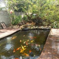 View xịn tọa lạc tại thôn 11_Hòa Phú_Buôn Ma Thuột _Đăk Lăk. Dt: 27,5×50 tc 400m²  $ 7 tỷ thương lượng chính chủ .  Thích hợp làm khu nghĩ dưỡng sau những giờ làm