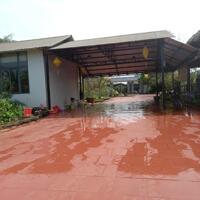 View xịn tọa lạc tại thôn 11_Hòa Phú_Buôn Ma Thuột _Đăk Lăk. Dt: 27,5×50 tc 400m²  $ 7 tỷ thương lượng chính chủ .  Thích hợp làm khu nghĩ dưỡng sau những giờ làm