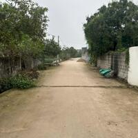 200m đường ô tô tránh giá 22 triệu/m tại Thường Tín 0788335225